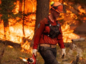 A member of the BC Wildfire Service Fraser Unit Crew uses a drip torch to set a planned ignition as part of wildfire-fighting efforts British Columbia last July.