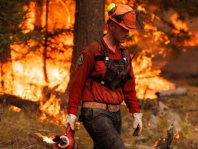 A member of the B.C. Wildfire Service Fraser Unit Crew uses a drip torch to set a planned ignition as part of wildfire-fighting efforts British Columbia last July.