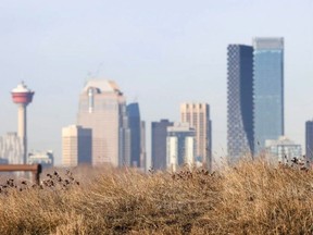Dry grass frames the downtown Calgary skyline on Wednesday, January 31, 2024. Drought conditions are forecast again this summer in southern Alberta.