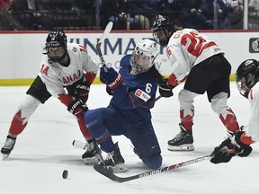 Women's world hockey championships 2024