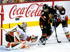 Calgary Flames forward Andrei Kuzmenko and Anaheim Ducks goalie Lukas Dostal look to control the puck at the Scotiabank Saddledome in Calgary on Tuesday, April 2, 2024.