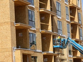 Nearly eight  per cent of Canadian workers are involved in construction, the highest number since 1946.