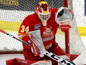 Calgary Canucks goaltender Julian Molinaro in action at the AJHL Finals on April 16.