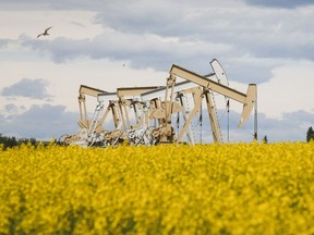 Pumpjacks draw oil out of the ground in a canola field near Olds on July 16, 2020.