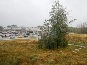 Glenmore Landing