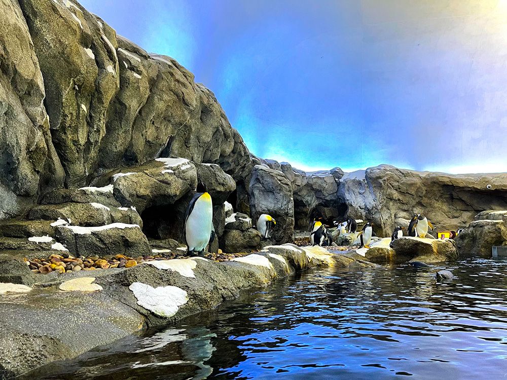 Calgary Zoo in Alberta, Canada.