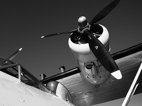 PBY 3