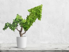 Understanding how ESG (environmental, social and governance), responsible and impact investing differ, while determining how well these investments perform, is key for financial decision makers.