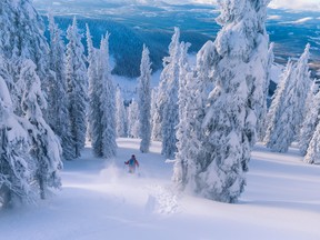Canadian resorts and tour operators provide well-heeled guests with unique snowy experiences.