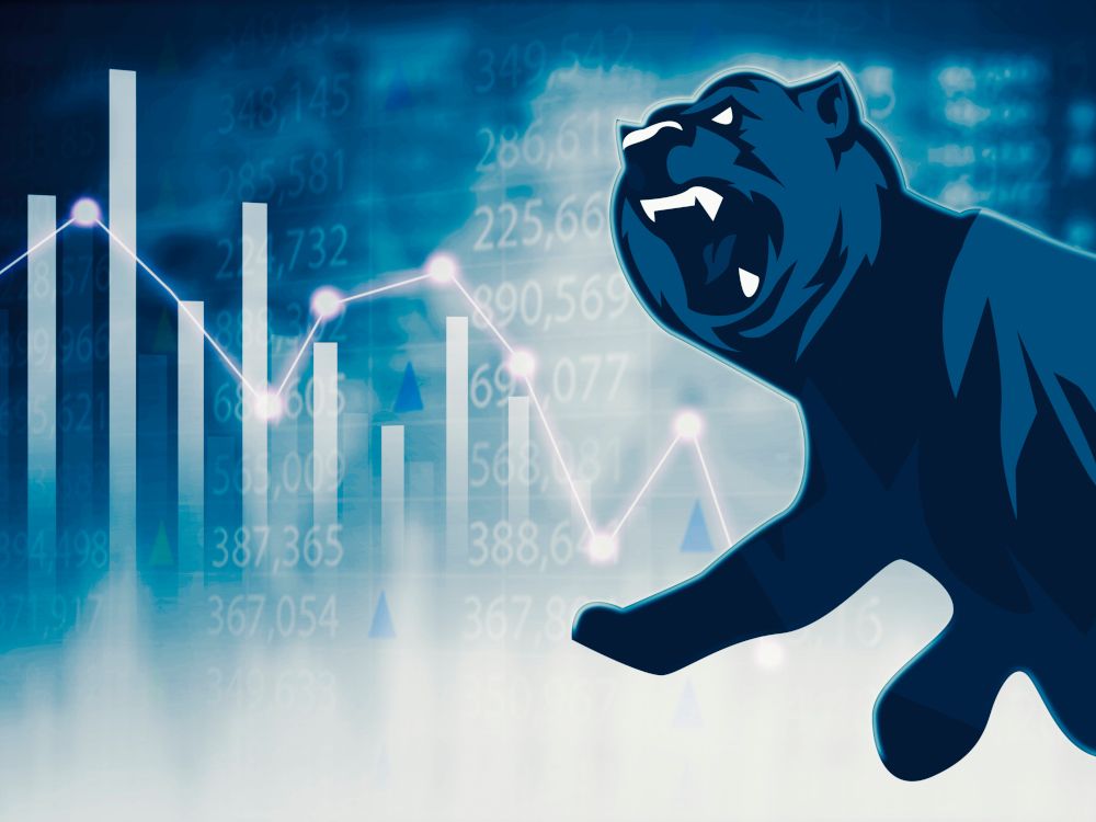 bear market bear market
