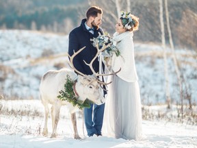 A bride and groom stand in the snow with a reindeer. The holidays are already a magical time of year, and this translates beautifully to weddings, and wedding photos.