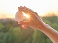 A hand holds an egg against the sun. Burnbrae has innovated in sustainability, announcing Net Zero by 2050, and animal care, health and wellbeing.