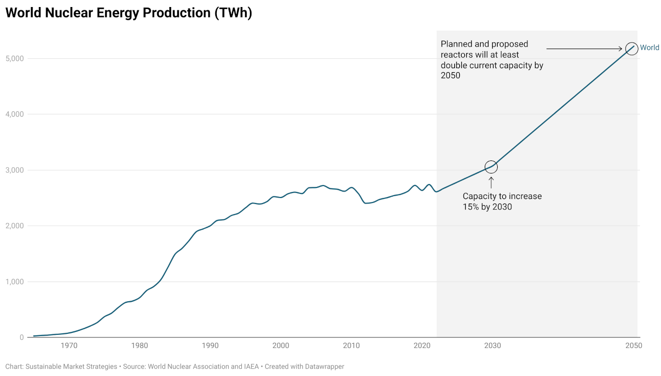 A Bounce Back For Sustainability Three Investment Ideas For 2024   World Nuclear Energy 