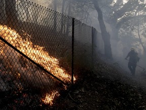 Firefighters from Kern County Calif., work to put out hot spots during a wildfire Saturday, Dec. 16, 2017, in Montecito, Calif. (AP Photo/Chris Carlson)