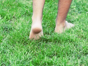 In this stock photo, a man walks through a park with bare legs and feet.