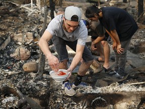 In this Oct, 10, 2017, file photo, photo Logan Hertel fills a bowl of goldfish with water after he and some friends rescued them from a destroyed home on Parker Hill Court in Santa Rosa, Calif. Hertel is determined to reunite them with their owners. (Nhat V. Meyer/San Jose Mercury News via AP)