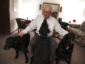 In this Monday, Dec. 11, 2017 photo, Homewood Mayor Rich Hofeld pets his dogs, from left, Annie, Sadie and Jenna at home, after the mayor was treated in the hospital for hypothermia.