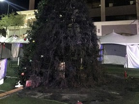 This photo provided by Mesa Police Department shows a partially burned Christmas tree on Wednesday, Dec. 13, 2017, in Mesa, Ariz.