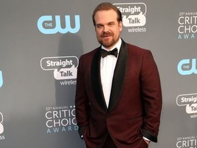 David Harbour  attends the 23rd Annual Critics' Choice Awards at Barker Hanger in Los Angeles, Calif., Jan. 11, 2018. (Brian To/WENN.com)