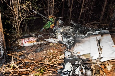 The remains of the burned fuselage of a small plane that crashed, rests near trees in Guanacaste, Corozalito, Costa Rica on Dec. 31, 2017. (EZEQUIEL BECERRA/AFP/Getty Images)