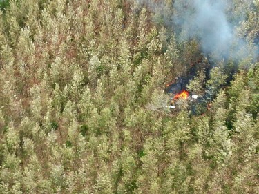 This photo released by Costa Rica's Public Safety Ministry shows smoke rising from the site of a plane crash in Punta Islita, Guanacaste, Costa Rica, Sunday, Dec. 31, 2017. (Costa Rica's Public Safety Ministry via AP)