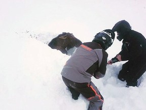 Snowmobilers Jonathan Anstey, left, and Tyrone Owens work together to free a moose trapped by deep snow near Deer Lake, N.L. on Saturday Dec. 30, 2017.