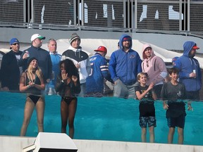 Fans watch from a pool in the stands during the AFC Wild Card game between the Buffalo Bills and the Jacksonville Jaguars at EverBank Field on January 7, 2018 in Jacksonville.