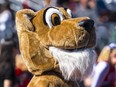 A person dressed in a cougar mascot stands in the crowd at a football game.