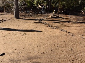 In this Saturday, Jan. 13, 2018 photo provided by the Santa Barbara County Fire Department, Santa Barbara County Fire Engineer Rick Pinal navigates through a muddy Montecito, Calif., home backyard. The home was destroyed by deadly mudflow and debris early Tuesday morning following heavy rainfall.