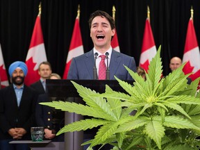 Prime Minister Justin Trudeau laughs as he speaks to the media during his closing comments after attending the Liberal cabinet retreat in London, Ont., on Friday, January 12, 2018 with a cannabis plant superimposed in the foreground.