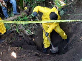 In this Jan. 15, 2018 photo, released by the General Prosecutor of Nayarit, a man digs up a clandestine grave in Xalisco, Nayarit state, Mexico. Sniffer dogs led authorities to the grisly discovery of three clandestine graves containing at least 33 bodies in a sugarcane field. Some of the bodies may have been hacked up before being tossed into the pits, and authorities believe they were probably involved in the drug trade. (General Prosecutor of Nayarit via AP)
