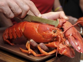 Guests learn how to measure the body of a Maine Lobster is measured Monday, Sept. 18 2017 in New York. A Nova Scotia craft brewery has put together two East Coast favourites to brew up something new: lobster-infused beer.