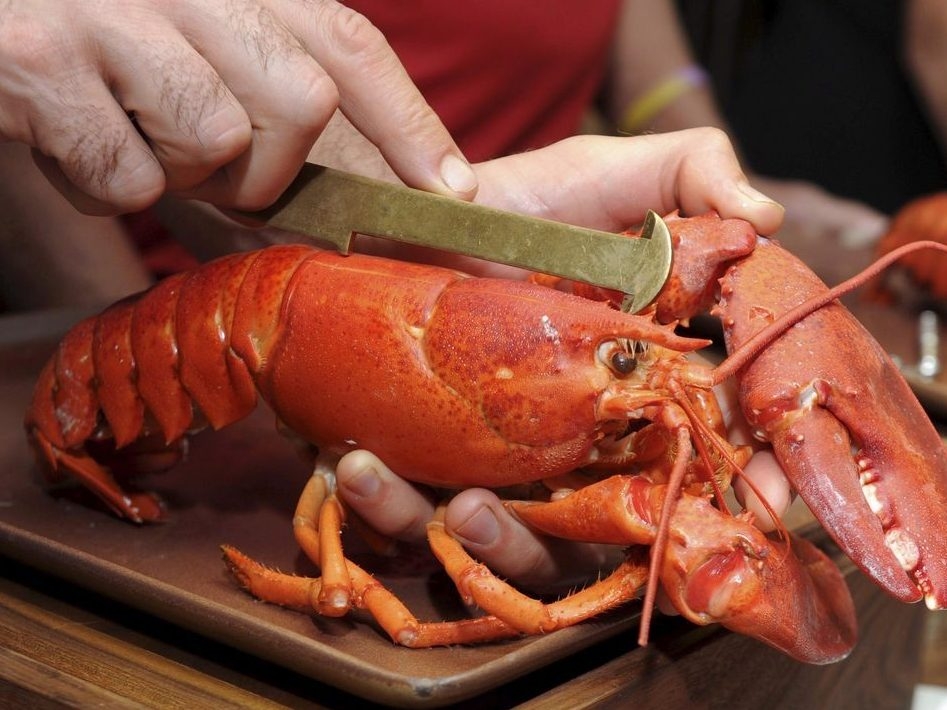 Lobsterflavoured beer on tap at Nova Scotia brewery