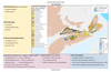 An infographic detailing potential petroleum resources in Nova Scotia.
