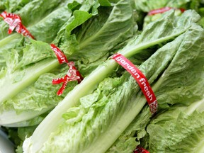 Heads of romaine lettuce fill a produce case at the Fruit Barn produce store in San Francisco.