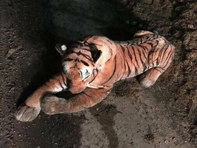 U.K. cops were left red-faced after having a 45-minute standoff with what turned out to be a stuffed tiger. (Facebook)