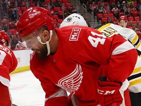 Luke Glendening of the Detroit Red Wings. (GREGORY SHAMUS/Getty Images)