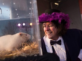 Wiarton Mayor Janice Jackson interacts with Wiarton Willie in Wiarton, Ont., on Friday, Feb.2, 2018. Wiarton Willie predicted six more weeks of winter. THE CANADIAN PRESS/Hannah Yoon