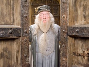 MICHAEL GAMBON as Albus Dumbledore in Warner Bros. Pictures' fantasy "Harry Potter and the Order of the Phoenix."  (File photo)