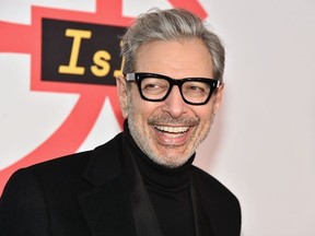 Jeff Goldblum attends the "Isle Of Dogs" New York Screening at The Metropolitan Museum of Art on March 20, 2018 in New York City.