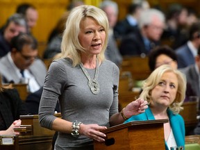 Conservative MP Candice Bergen (seen here in a March 19 photo) called a halt to the marathon voting session. THE CANADIAN PRESS/Sean Kilpatrick