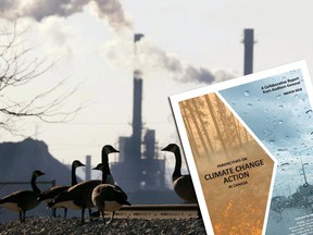 In this file photo, a group of Canada geese stand on railway tracks as a plant operates in the background at Hamilton Harbour in Hamilton, Ont. Tuesday December 10, 2002.