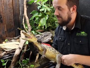 In this screenshot, 28-year-old Brandon Joseph Boyles a.k.a. VenomMan20 appears in a YouTube video holding a reptile.