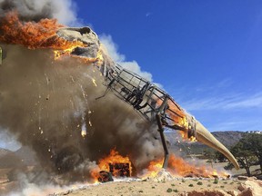 In a Thursday, March 22, 2018 photo provided by the Royal Gorge Dinosaur Experience, a life-sized animatronic Tyrannosaurus Rex at the Royal Gorge Dinosaur Experience in Canon City, Colo., is ablaze after an electrical issue, according to Royal Gorge Dinosaur Experience personnel. T-Rex was a total loss, but Zach Reynolds, co-owner of Royal Gorge Dinosaur Experience, hopes to have a replacement T-Rex before summer.  (Royal Gorge Dinosaur Experience via AP)