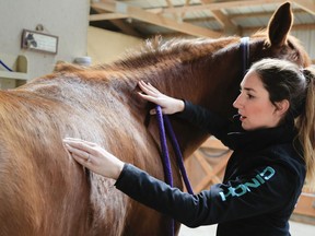 In this March 1, 2018 photo, Jane Fucinaro works with 9-year-old Wakema during an equine body work session in Blair, Neb.