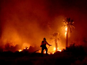 In this Monday, March 26, 2018 photo provided by Steve Raines, a firefighter works at the scene of a fire that broke out at Joshua Tree National Park, damaging a historical landmark. (Steve Raines Photography via AP)