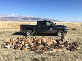 A Northern California man shot more than 130 hawks and other legally protected birds of prey on his land, (California Departments of Fish & Wildlife)