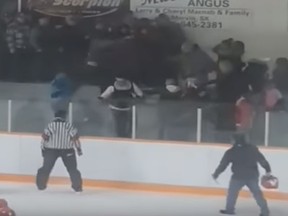 Screen shot of a recent hockey arena brawl in Turtleford, Sask.