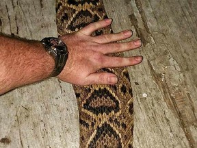 A fake Facebook post is spreading fears that venomous snakes are lurking in the sewers of a Georgia town.