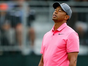 Tiger Woods reacts after missing a putt on the 12th hole during the third round of the Valspar Championship at Innisbrook Resort Copperhead Course on March 10, 2018 in Palm Harbor, Florida.  (Michael Reaves/Getty Images)